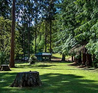 Dingo Tops campground - Accommodation Coffs Harbour