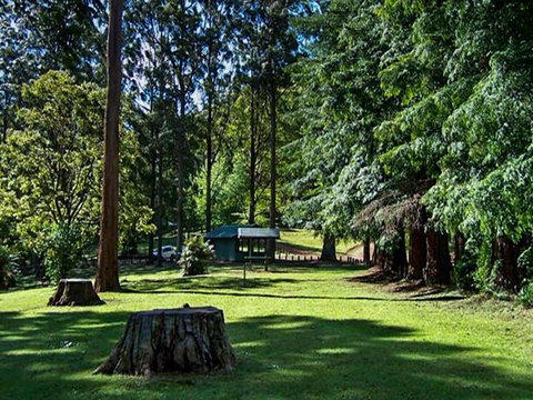 Dingo Tops Campground - Accommodation Coffs Harbour 0