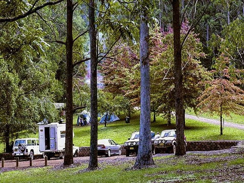Dingo Tops Campground - Accommodation Coffs Harbour 2