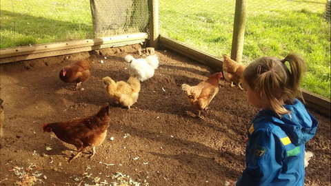 Emerald Park Holiday Farm - Accommodation Coffs Harbour 2