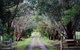 Galwiji Homestead - thumb 1