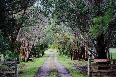 Galwiji Homestead - Accommodation Coffs Harbour 1