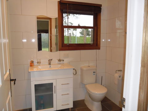 Highland Cattle Farm Stay - Accommodation Coffs Harbour 2