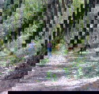 Honeymoon Pool - Gelcoat Camp at Wellington National Park - Accommodation Coffs Harbour