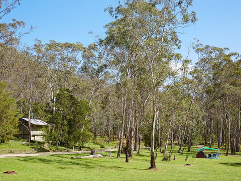 Main Range National Park Camping - Accommodation Coffs Harbour 0