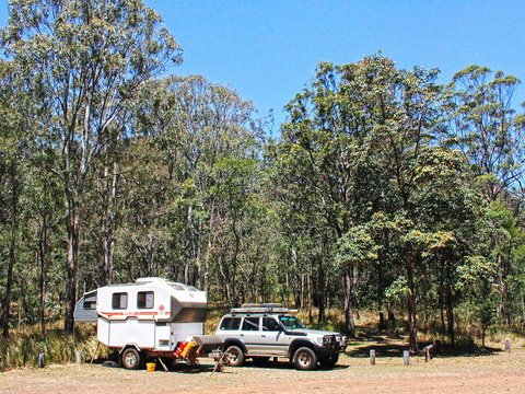 Main Range National Park Camping - Accommodation Coffs Harbour 1