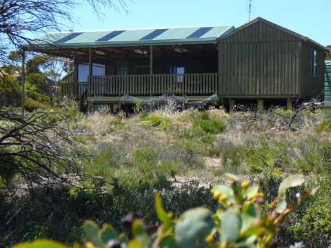 Melaleuca - Eco And Pet Friendly,  Harbor Point Cabins - Accommodation Coffs Harbour 0