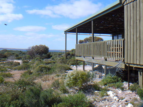 Melaleuca - Eco And Pet Friendly,  Harbor Point Cabins - Accommodation Coffs Harbour 1