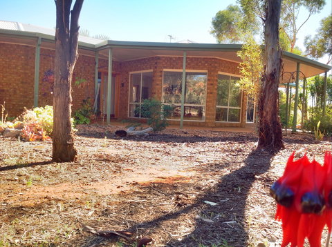 Munga Munga B&B - Accommodation Coffs Harbour 0