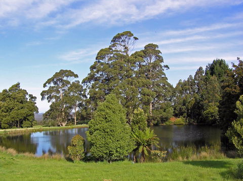 Newry Park Cottage - Accommodation Coffs Harbour 1