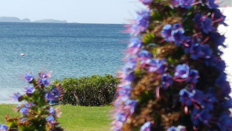Rock Lobster - Accommodation Coffs Harbour 2