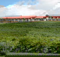 Turners Vineyard Motel - Accommodation Coffs Harbour