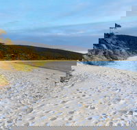 White Beach Tourist Park - Accommodation Coffs Harbour