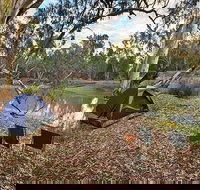 Woolpress Bend campground - Accommodation Coffs Harbour