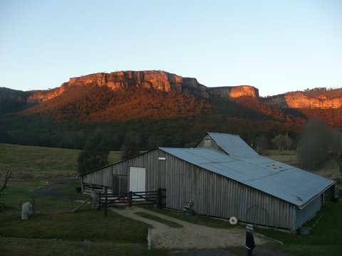 Woolshed Cabins - Accommodation Coffs Harbour 2
