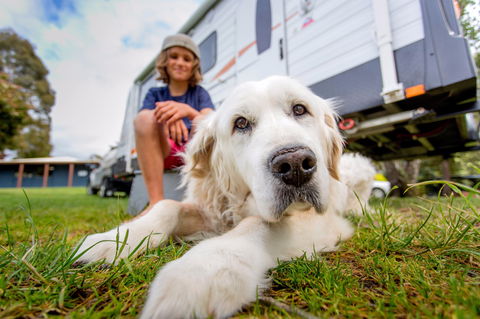 BIG4 St Helens Holiday Park - Accommodation Coffs Harbour 2