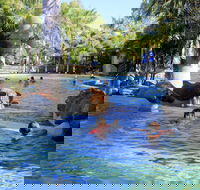 Big4 Aussie Outback Oasis Holiday Park - Accommodation Coffs Harbour