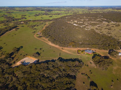 Eleanor River Homestead - Accommodation Coffs Harbour 1