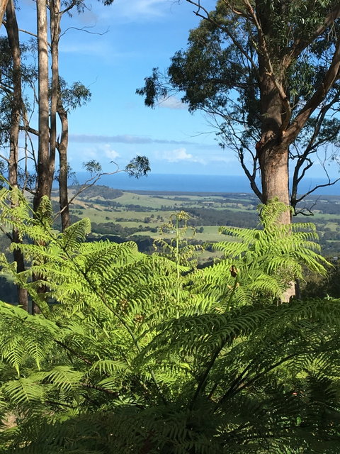 Escarpment - Accommodation Coffs Harbour 0