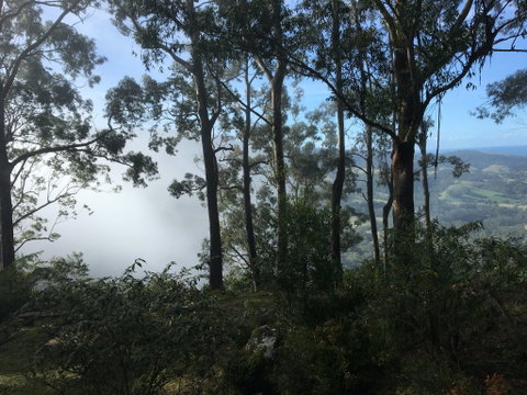 Escarpment - Accommodation Coffs Harbour 2