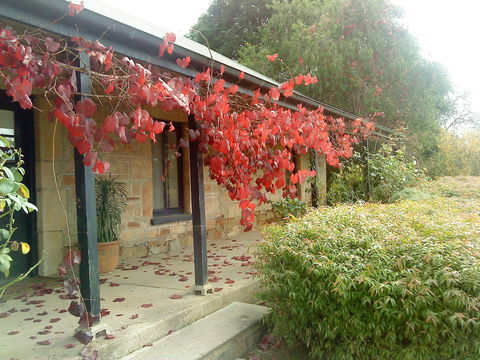 Ethel's Cottage - Accommodation Coffs Harbour 0