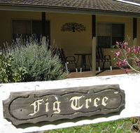 Figtree Cottage - Accommodation Coffs Harbour