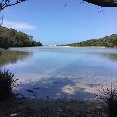 Jetz Bungalow - Accommodation Coffs Harbour 1