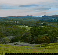 Nightcap Cottage - Accommodation Coffs Harbour