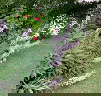 Padthaway Caravan Park - Accommodation Coffs Harbour