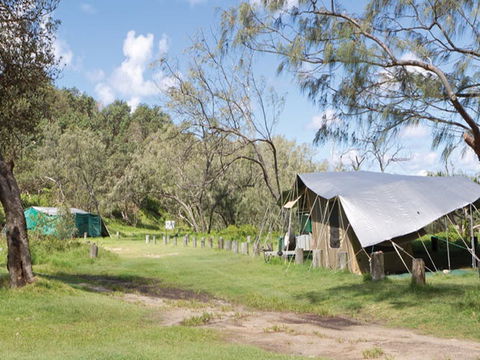 Pebbly Beach Campground - Yuraygir National Park - Accommodation Coffs Harbour 0