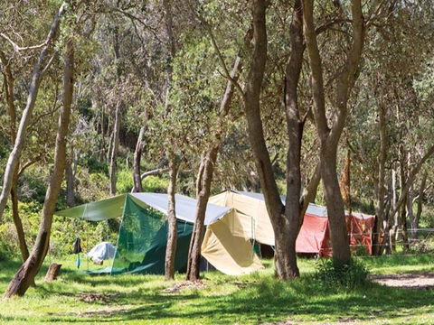 Pebbly Beach Campground - Yuraygir National Park - Accommodation Coffs Harbour 1