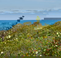 Preston Beach Front Apartment - Accommodation Coffs Harbour