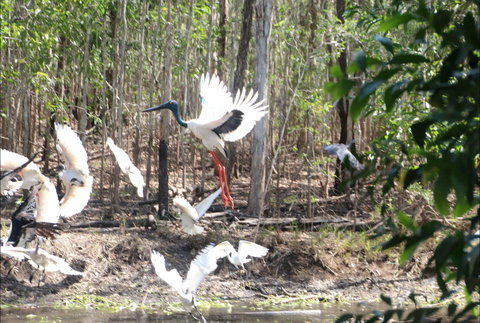 Rakhi Retreat - Accommodation Coffs Harbour 0