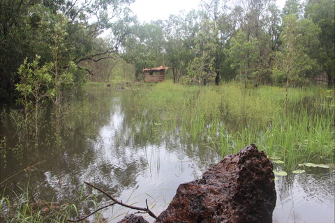 Rakhi Retreat - Accommodation Coffs Harbour 2