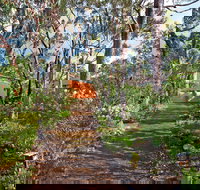 Sea View Lodge - Accommodation Coffs Harbour