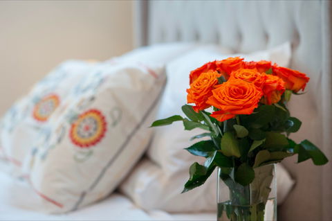 The Nest At Gundaroo - Accommodation Coffs Harbour 1