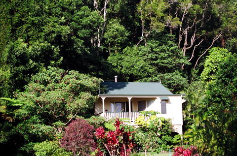 The Falls Montville - Accommodation Coffs Harbour 0
