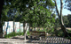 Billabong Cottage Bed And Breakfast - thumb 4