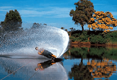 Buckenderra Holiday Village - Accommodation Coffs Harbour