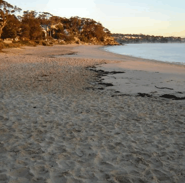 Beachhaven Bed & Breakfast - Accommodation Coffs Harbour 5