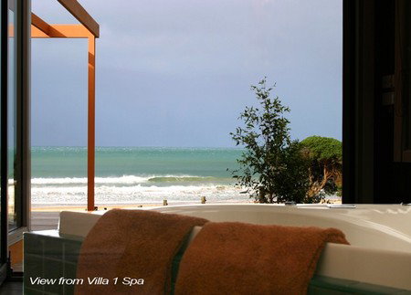 Chocolate Gannets - Accommodation Coffs Harbour 3