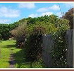 Orchard Cottage - Accommodation Coffs Harbour