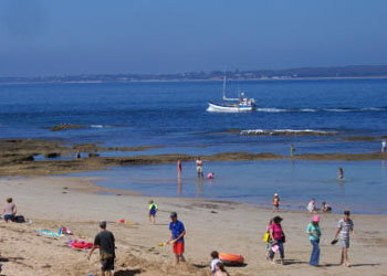 QueenscliffeTourist Park - Accommodation Coffs Harbour 0