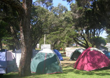 QueenscliffeTourist Park - Accommodation Coffs Harbour 2