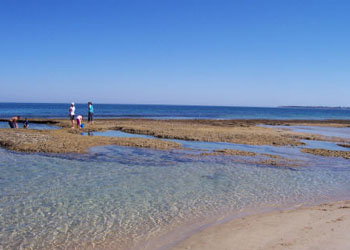 QueenscliffeTourist Park - Accommodation Coffs Harbour 3