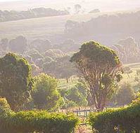 Mackas Farm - Accommodation Coffs Harbour