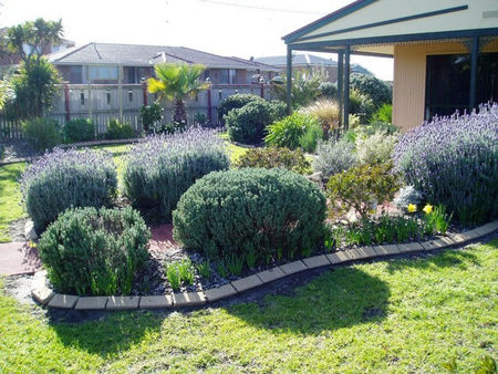 Bells By The Beach Holiday House - Accommodation Coffs Harbour 4