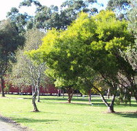 Otways Tourist Park - Accommodation Coffs Harbour
