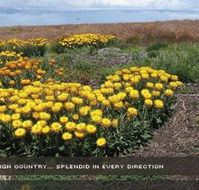 Alpine View Apartments - Accommodation Coffs Harbour