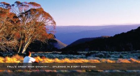 Alpine View Apartments - Accommodation Coffs Harbour 1